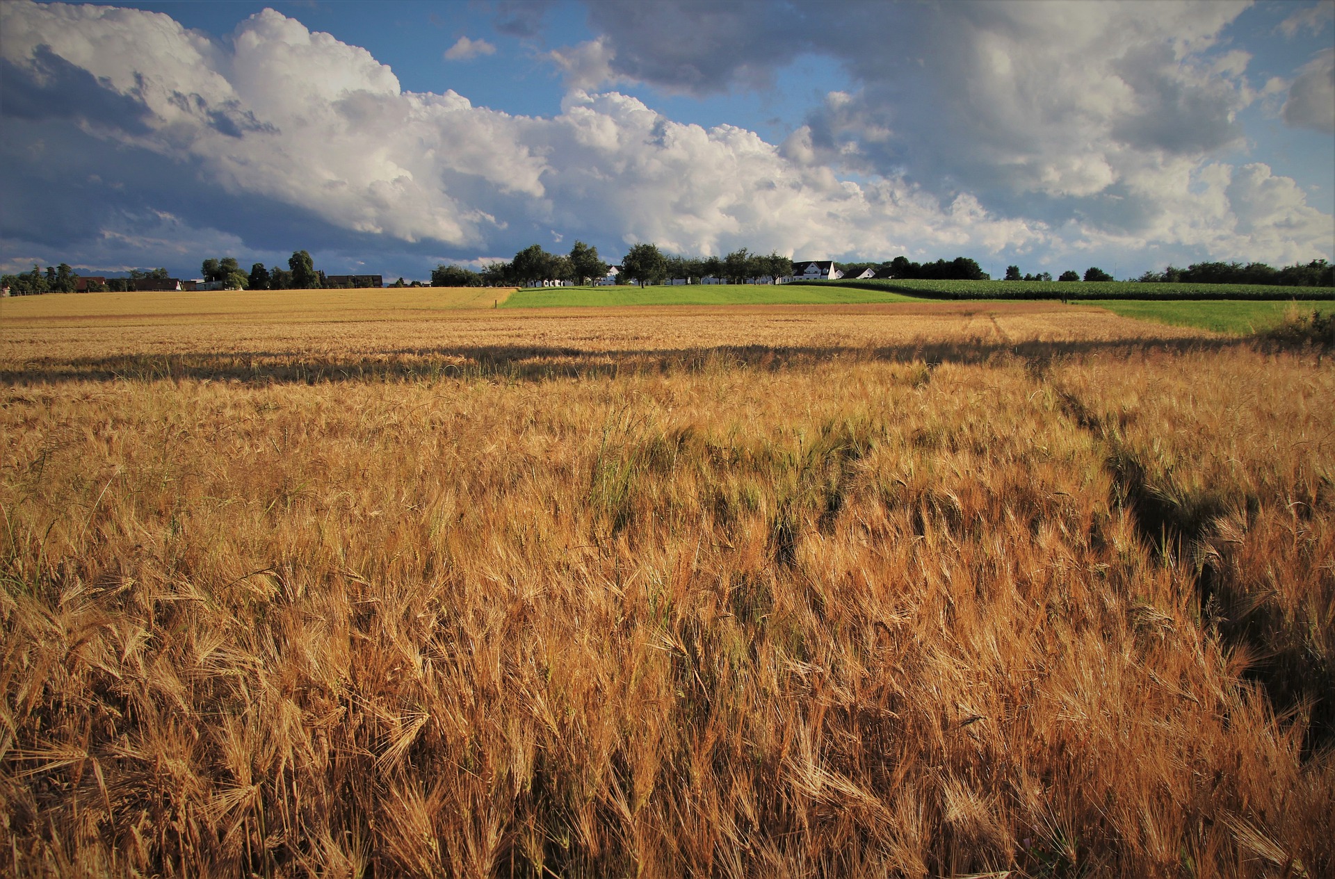 Agroenergia – nowy nabór wniosków